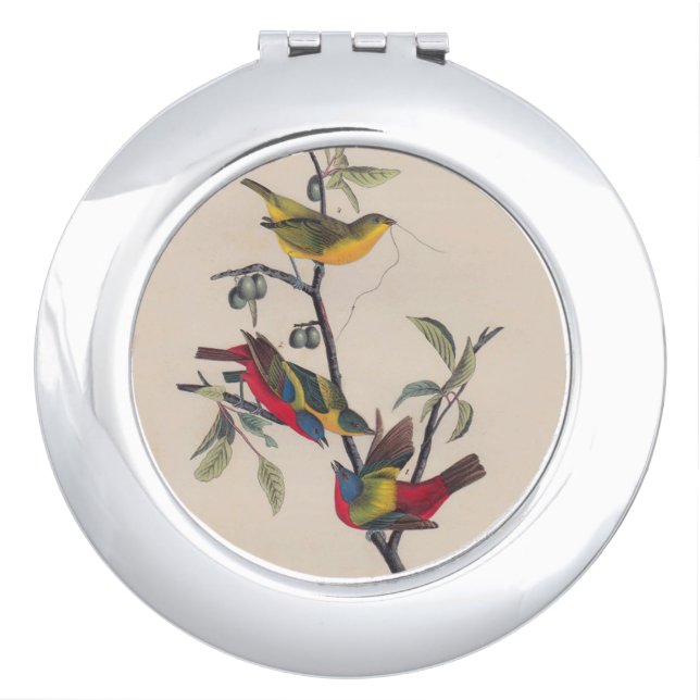 Audubon Painted Bunting Bird Wildlife Mirror For Makeup (Front)