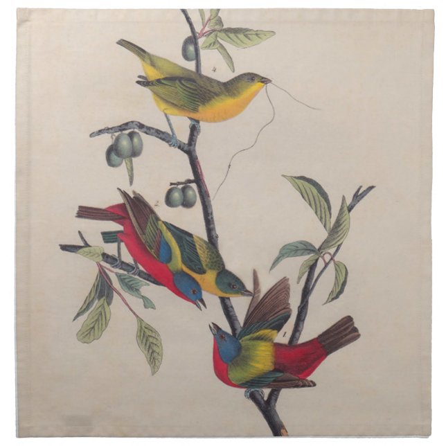 Audubon Painted Bunting Bird Wildlife Napkin (Front)
