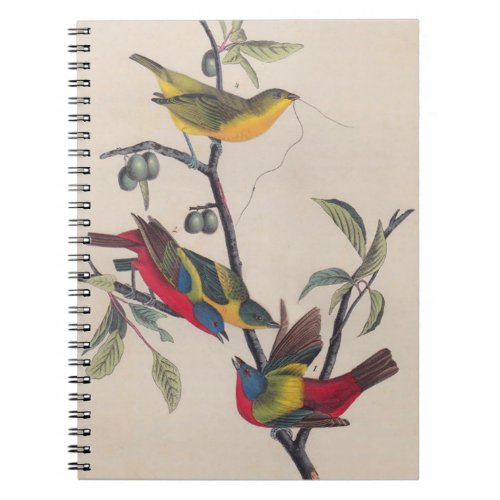 Audubon Painted Bunting Bird Wildlife Notebook