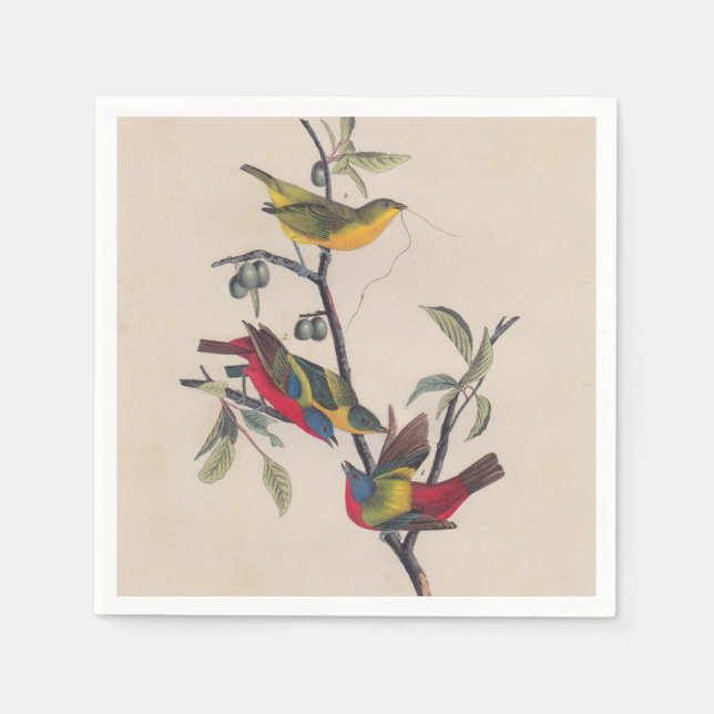 Audubon Painted Bunting Bird Wildlife Paper Napkins (Front)