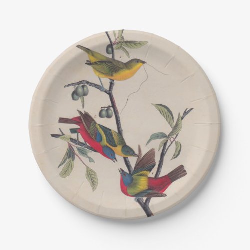 Audubon Painted Bunting Bird Wildlife Paper Plates