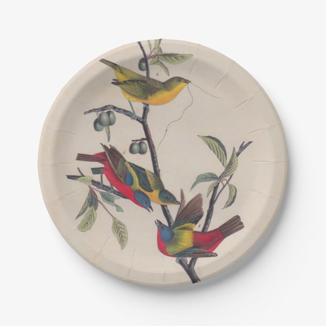 Audubon Painted Bunting Bird Wildlife Paper Plates (Front)