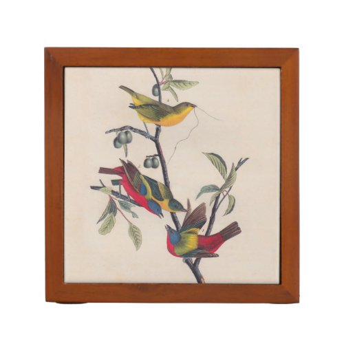 Audubon Painted Bunting Bird Wildlife PencilPen Holder