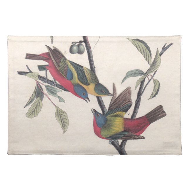 Audubon Painted Bunting Bird Wildlife Placemat (Front)