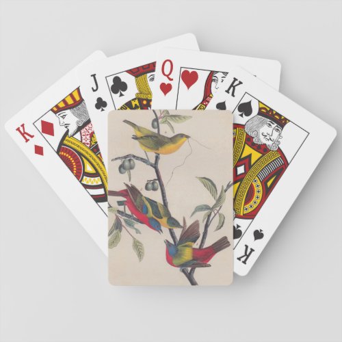 Audubon Painted Bunting Bird Wildlife Poker Cards