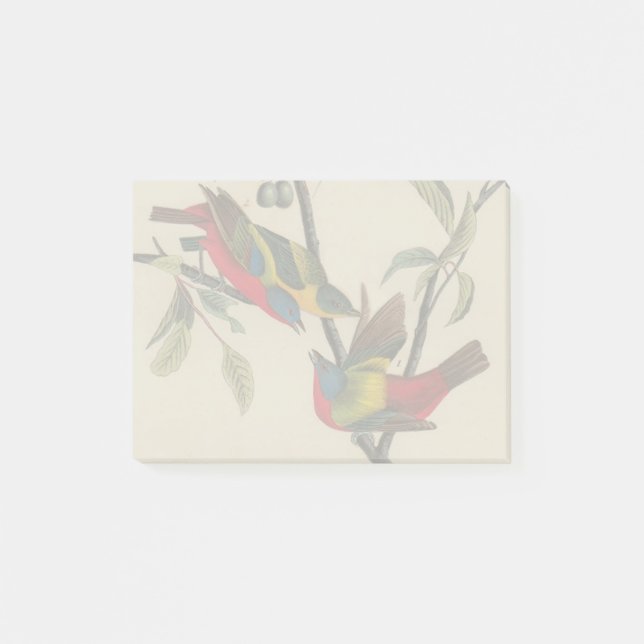 Audubon Painted Bunting Bird Wildlife Post-it Notes (Front)