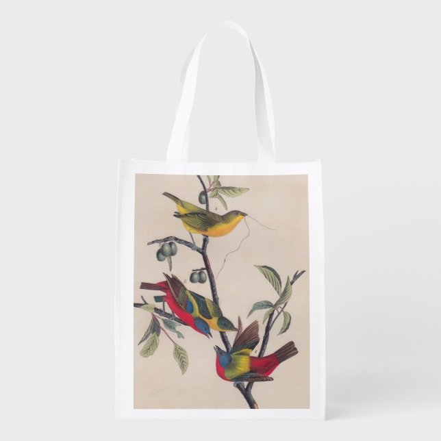 Audubon Painted Bunting Bird Wildlife Reusable Grocery Bag (Back)