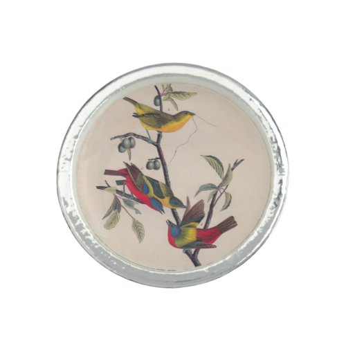 Audubon Painted Bunting Bird Wildlife Ring