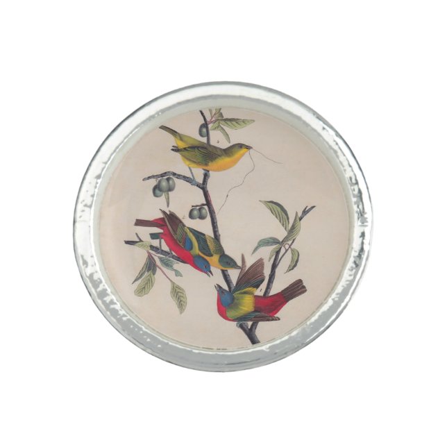 Audubon Painted Bunting Bird Wildlife Ring (Front)
