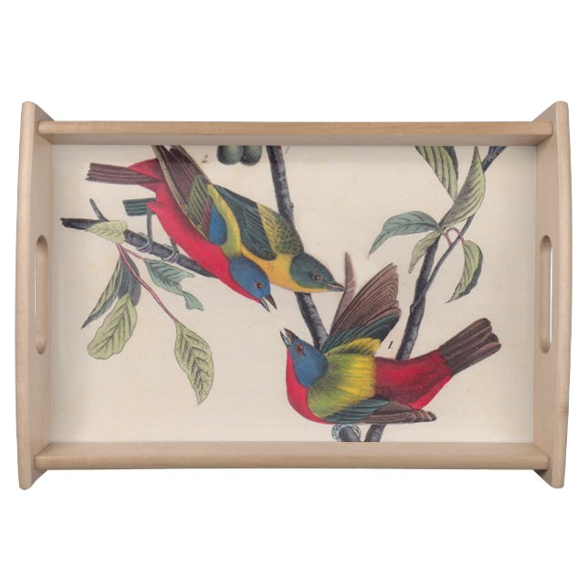 Audubon Painted Bunting Bird Wildlife Serving Tray (Front)