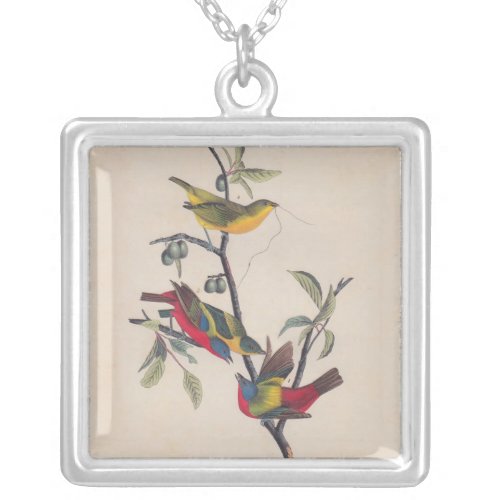 Audubon Painted Bunting Bird Wildlife Silver Plated Necklace