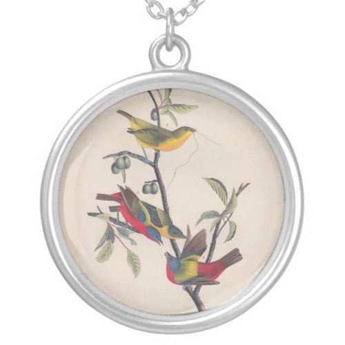 Audubon Painted Bunting Bird Wildlife Silver Plated Necklace