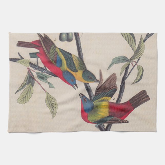 Audubon Painted Bunting Bird Wildlife Towel (Horizontal)