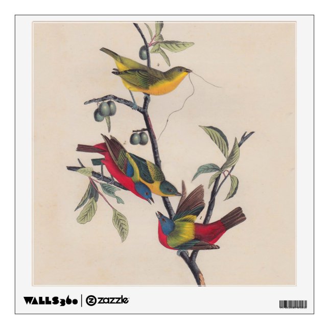Audubon Painted Bunting Bird Wildlife Wall Sticker (Front)