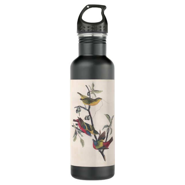 Audubon Painted Bunting Bird Wildlife Water Bottle (Front)