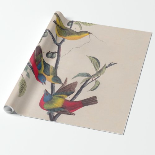 Audubon Painted Bunting Bird Wildlife Wrapping Paper