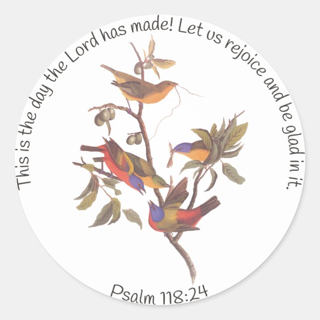 Audubon Painted Bunting Birds in a Cherokee Plum Classic Round Sticker (Front)