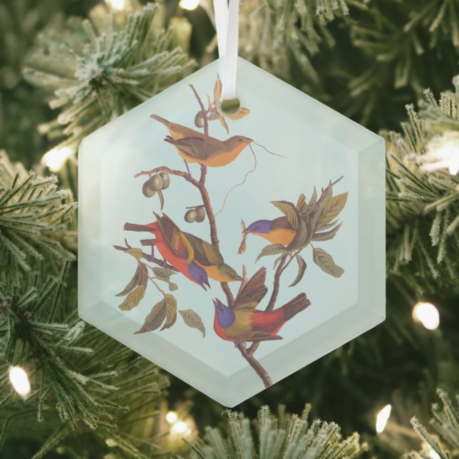 Audubon Painted Bunting Birds is Wild Plum Tree Glass Ornament (Insitu)