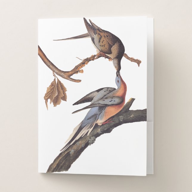 Audubon Pair of Kissing Passenger Pigeons Grocery  Pocket Folder (Front)