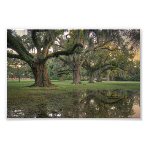 Audubon Park Rain Photo Print