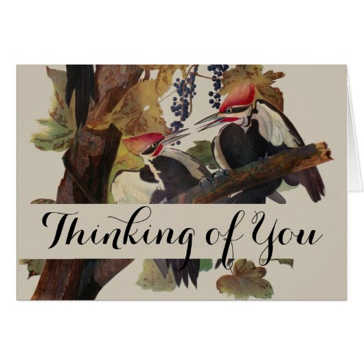 Audubon Pileated Woodpecker Bird Painting (Front Horizontal)