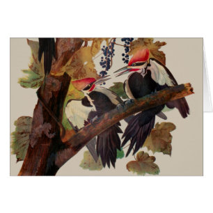 Audubon Pileated Woodpecker Bird Painting