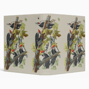 Audubon Pileated Woodpecker Bird Painting 3 Ring Binder