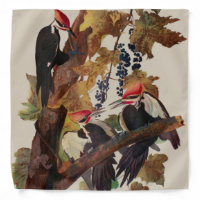 Audubon Pileated Woodpecker Bird Painting