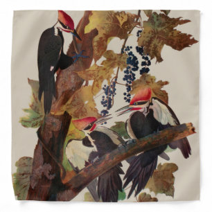 Audubon Pileated Woodpecker Bird Painting Bandana