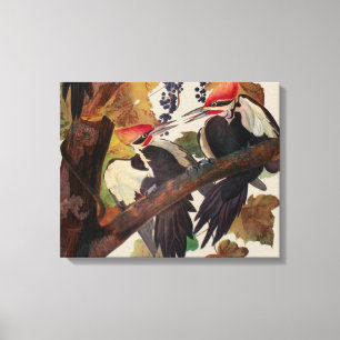Audubon Pileated Woodpecker Bird Painting Canvas Print