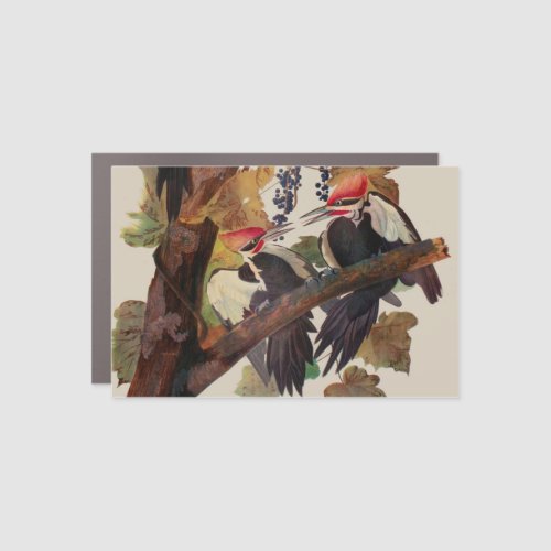 Audubon Pileated Woodpecker Bird Painting Car Magnet