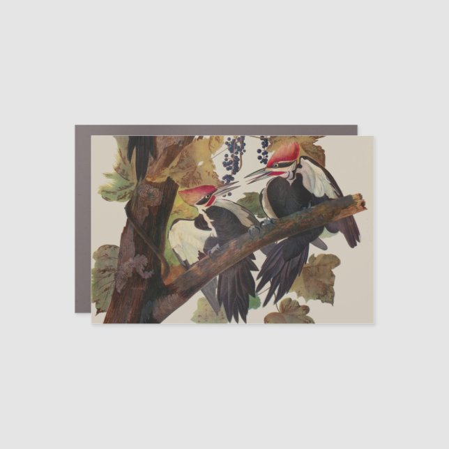Audubon Pileated Woodpecker Bird Painting Car Magnet (Front)