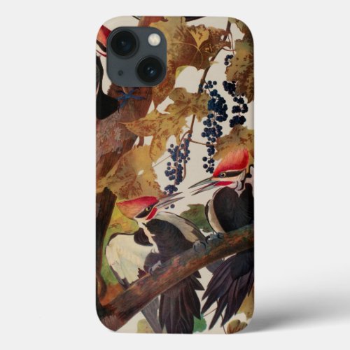 Audubon Pileated Woodpecker Bird Painting iPhone 13 Case