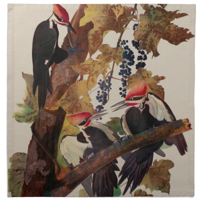 Audubon Pileated Woodpecker Bird Painting Cloth Napkin (Front)