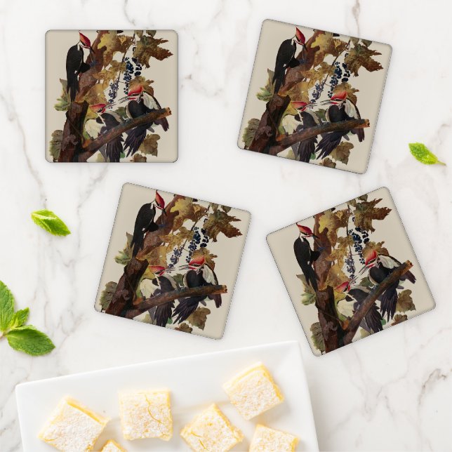 Audubon Pileated Woodpecker Bird Painting Coaster Set (In Situ)