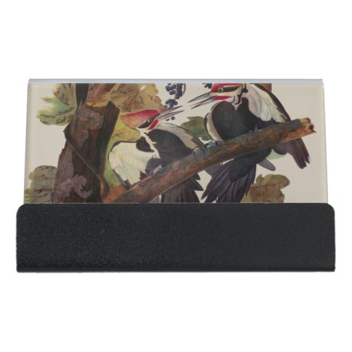Audubon Pileated Woodpecker Bird Painting Desk Business Card Holder