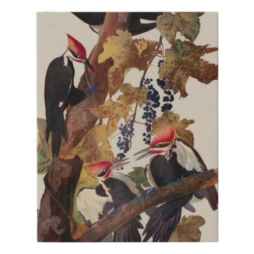 Audubon Pileated Woodpecker Bird Painting Faux Canvas Print