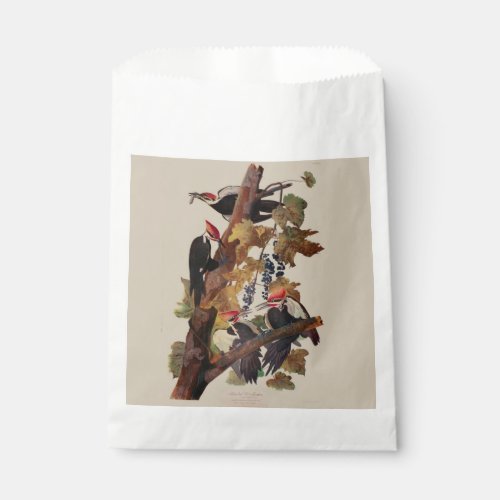 Audubon Pileated Woodpecker Bird Painting Favor Bag