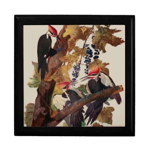 Audubon Pileated Woodpecker Bird Painting Gift Box