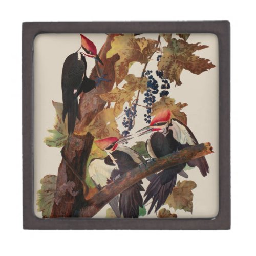 Audubon Pileated Woodpecker Bird Painting Gift Box