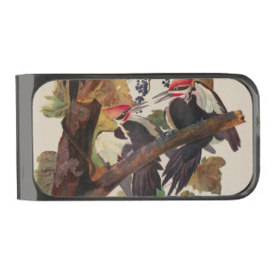 Audubon Pileated Woodpecker Bird Painting Gunmetal Finish Money Clip