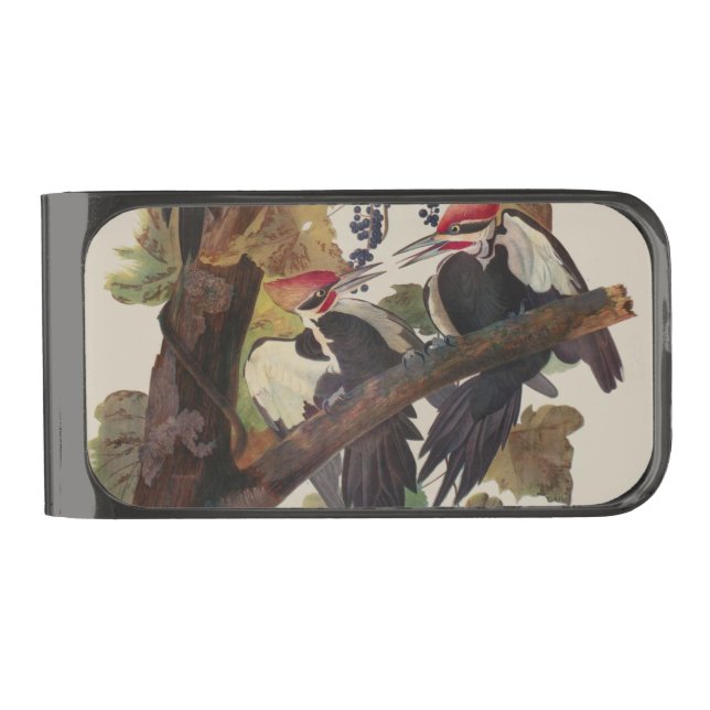 Audubon Pileated Woodpecker Bird Painting Gunmetal Finish Money Clip (Front)