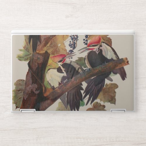 Audubon Pileated Woodpecker Bird Painting HP Laptop Skin