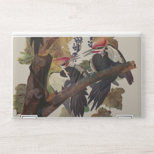 Audubon Pileated Woodpecker Bird Painting HP Laptop Skin (Front)