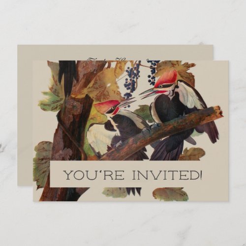 Audubon Pileated Woodpecker Bird Painting Invitation