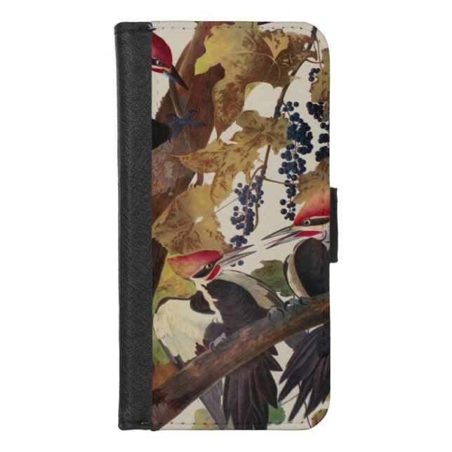 Audubon Pileated Woodpecker Bird Painting iPhone Wallet Case (Front)