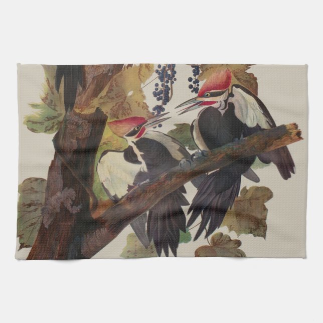 Audubon Pileated Woodpecker Bird Painting Kitchen Towel (Horizontal)
