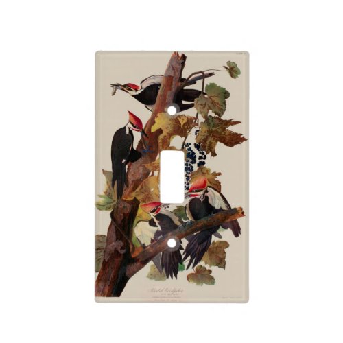 Audubon Pileated Woodpecker Bird Painting Light Switch Cover