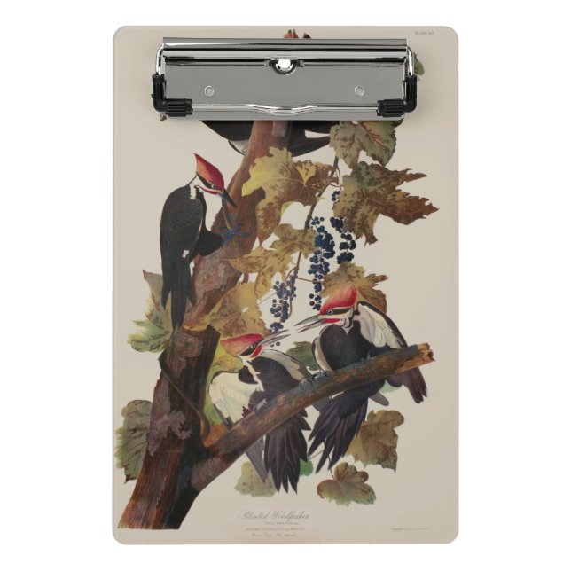 Audubon Pileated Woodpecker Bird Painting Mini Clipboard (Front)