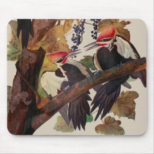 Audubon Pileated Woodpecker Bird Painting Mouse Pad